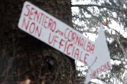 97 Il sentiero non uff. per Cornalba, difficile, alla prossima volta